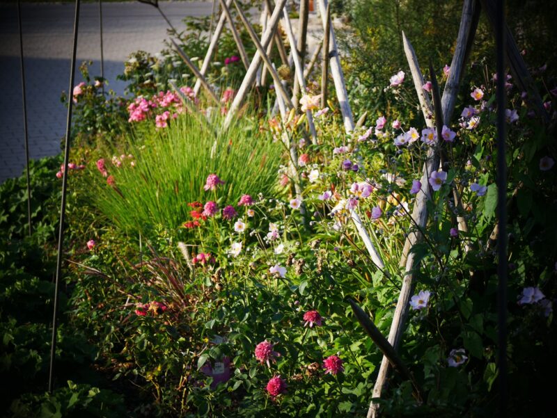 Mehr über den Artikel erfahren Öffnungszeiten im August – Saisonkistl & Hofverkauf