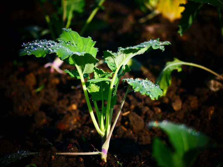 Mehr über den Artikel erfahren Hofverkauf im März – Öffnungszeiten