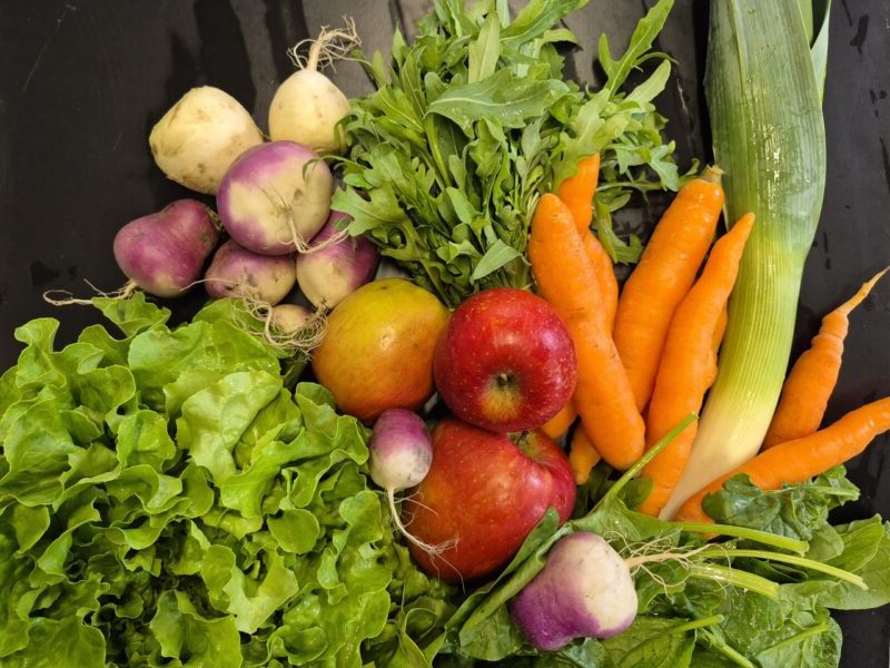 Du betrachtest gerade 4. Saisonkistl & Hofverkauf (KW 17/25)