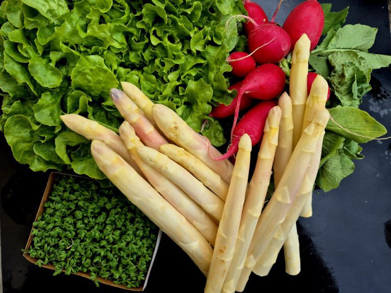 Mehr über den Artikel erfahren 8. Saisonkistl & Hofverkauf (KW 21/25)