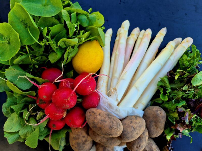 Mehr über den Artikel erfahren 5. Saisonkistl & Hofverkauf (KW 18/25)