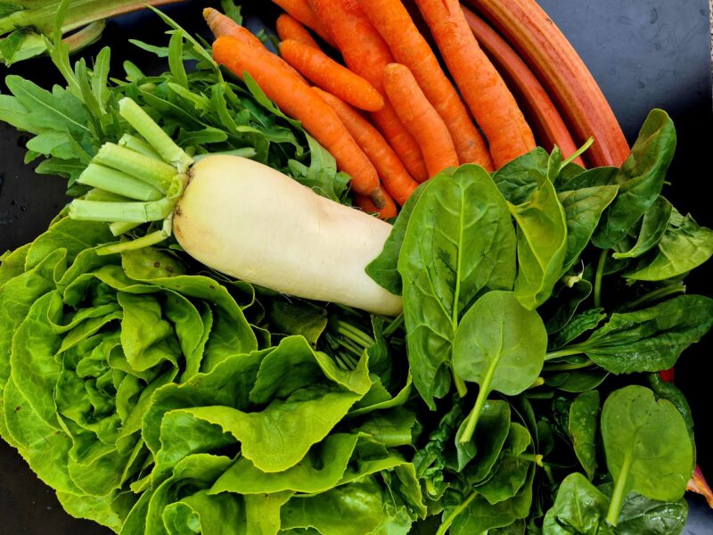 Mehr über den Artikel erfahren 7. Saisonkistl & Hofverkauf (KW 20/25)