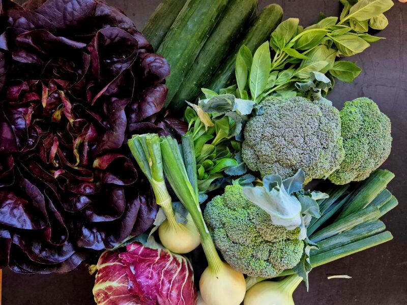 Mehr über den Artikel erfahren 12. Saisonkistl (KW 25/25)