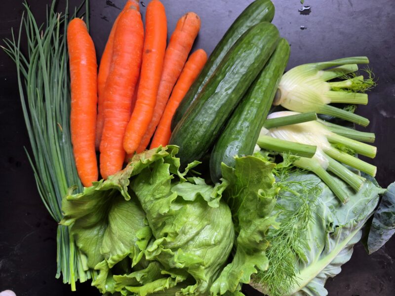 Mehr über den Artikel erfahren 10. Saisonkistl & Hofverkauf (KW 23/25)