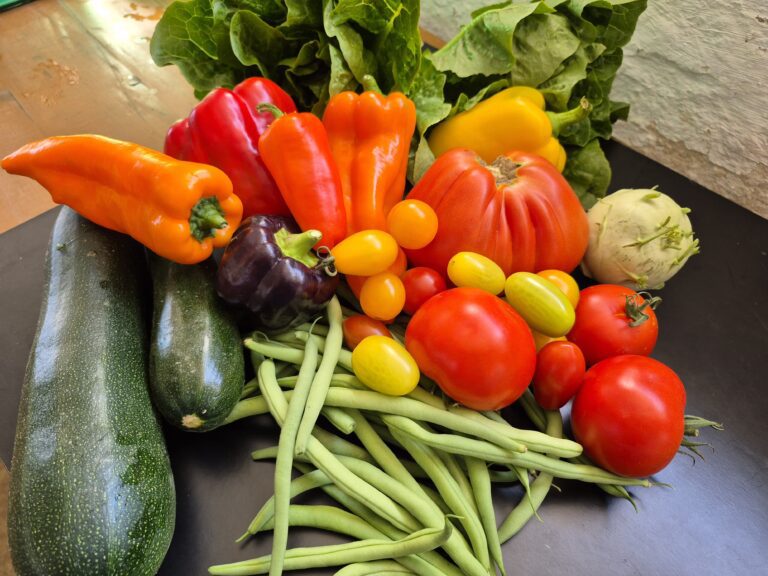 Mehr über den Artikel erfahren 21. Saisonkistl & Hofverkauf (KW 33/25)