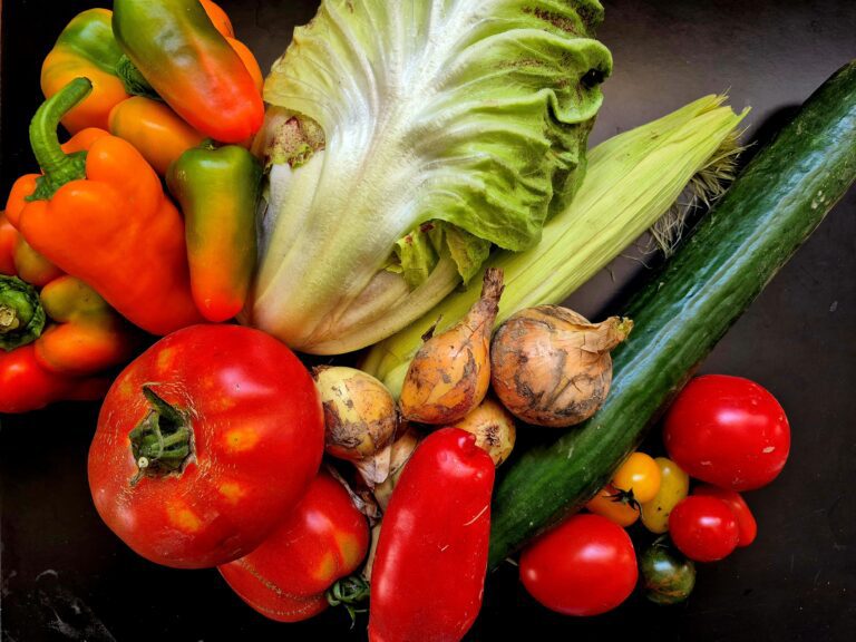 Mehr über den Artikel erfahren 20. Saisonkistl & Hofverkauf (KW 32/25)