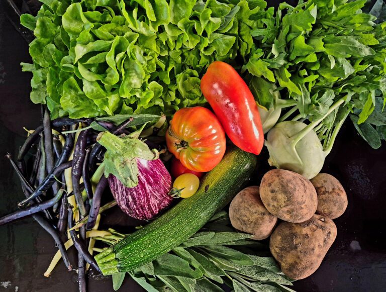 Mehr über den Artikel erfahren 28. Saisonkistl & Hofverkauf (KW 40/25)