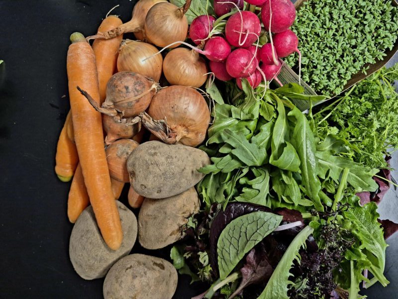 Du betrachtest gerade 1. Saisonkistl & Hofverkauf (14/2026)