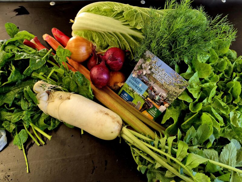 Du betrachtest gerade 4. Saisonkistl & Hofverkauf (KW17/26)