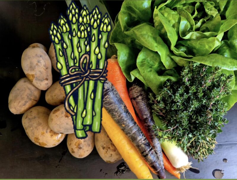 Du betrachtest gerade 5. Saisonkistl & Hofverkauf (KW 18/26)